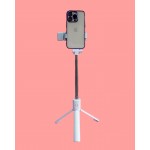 2.5 FEET Selfie Stick with Tripod & Remote