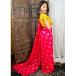 Pre-Draped Saree Set