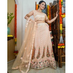 Dazzler Lehenga with Canvas Set