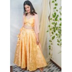 Brocade Fairytale Skirt Set!